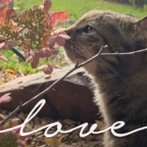 Meet your Posher, Polly